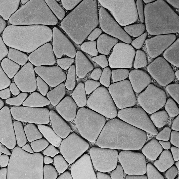 Stained Concrete Services Tampa